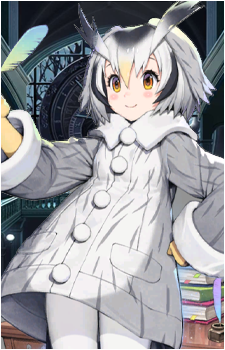 Northern White-Faced Owl