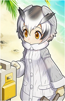Northern White-Faced Owl