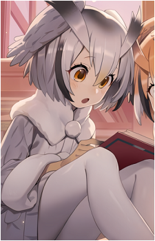 Northern White-Faced Owl