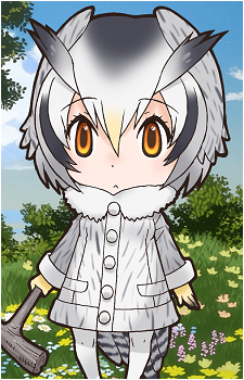 Northern White-Faced Owl