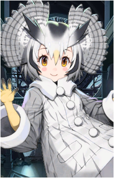 Northern White-Faced Owl