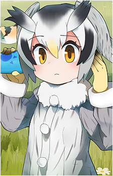 Northern White-Faced Owl