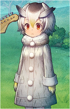 Northern White-Faced Owl