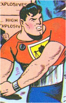 Commander Steel's image