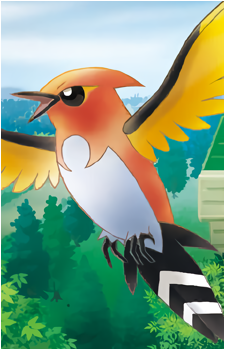 Image 12 of Fletchling