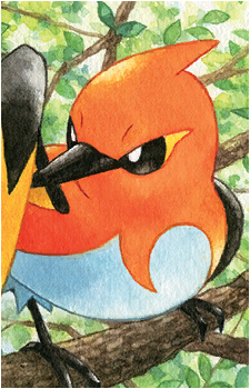 Image 11 of Fletchling