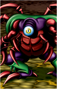 Crab Turtle's image