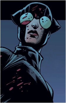 Catwoman (Eiko Hasigawa)