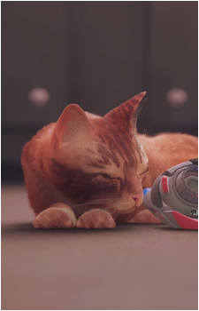 Protagonist {Stray}