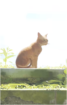 Protagonist {Stray}