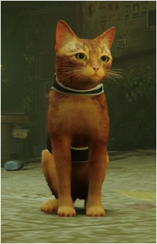 Protagonist {Stray}