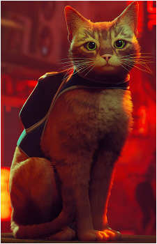 Protagonist {Stray}