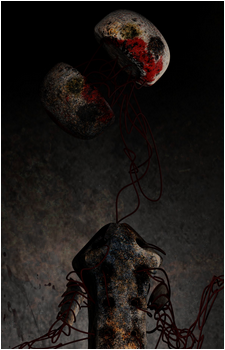SCP-173