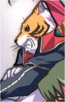 Tiger Joe