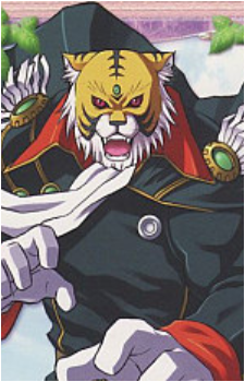 Tiger Joe