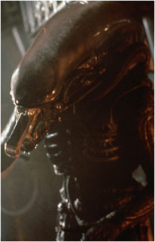 Kane's Son's image