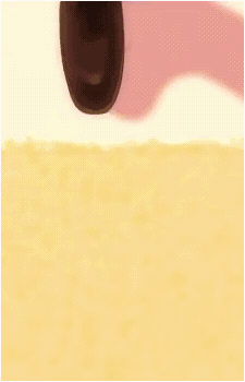 Image 29