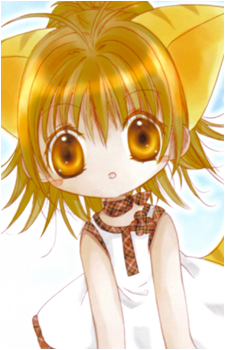 Image 54 Image 54