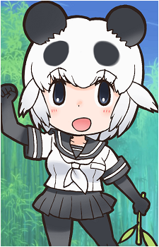 Giant Panda's image
