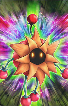 Tomato King's image