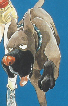 Image 3