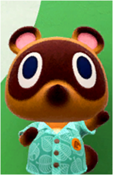 Timmy Nook