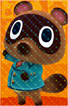Timmy Nook