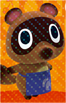 Timmy Nook