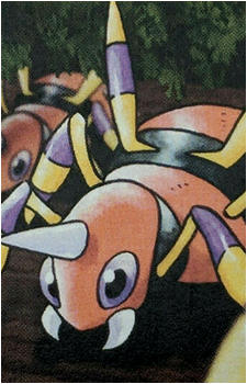 Spinarak