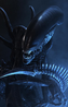 Xenomorph