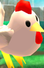 Cucco