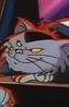 M.A.D. Cat