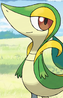Snivy