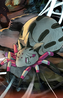 Kumoko