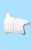 Wii Balance Board