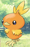 Torchic