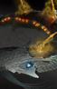Hydrus