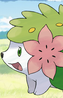 Shaymin