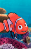 Nemo