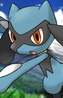 Riolu