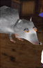 The Giant Rat That Makes All of the Rules