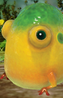 Yellow Wollyhop