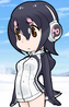 Humboldt Penguin
