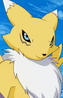 Renamon