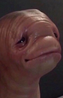 VineMeat