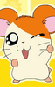 Hamtaro