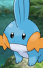 Mudkip