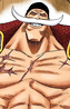 Whitebeard
