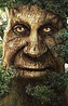 Wise Mystical Tree